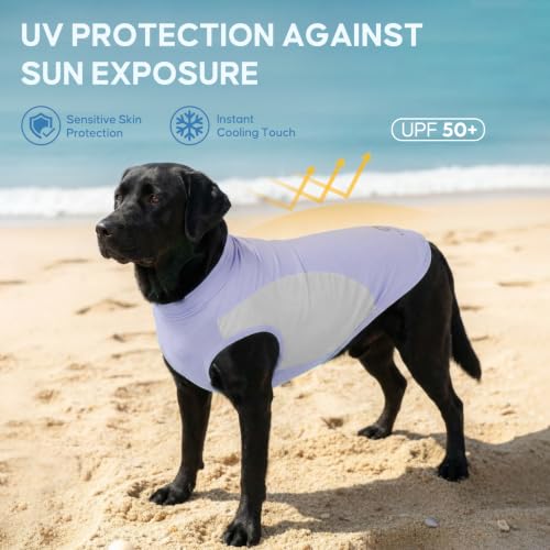 2Pack Dog Cooling Shirt with UPF 50+ UV Protection (XXX-Large (55-75lbs) / Purple)