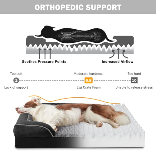 Orthopedic Dog Bed for Extra Large Dogs (XXL (48"x 35"x 8") / Black)
