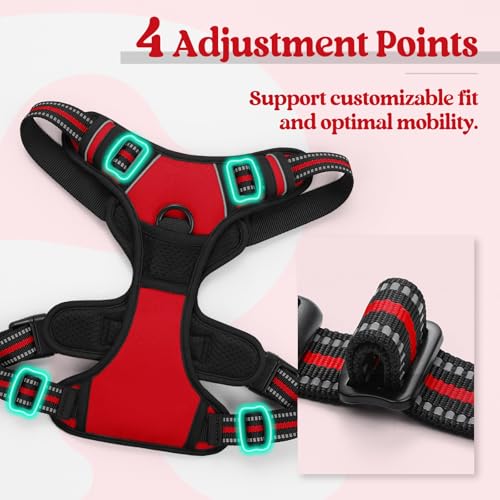 Dog Harness No Pull Medium Sized with 2 Leash Clips (Medium / Red)