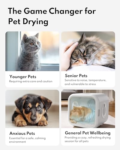 Automatic Cat Dryer (50L)