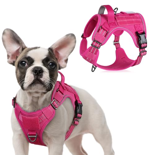 Tactical Dog Harness for Small (Rose Red / Small)