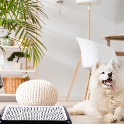 2 Pcs Dog Pee Pad Holder Potty Tray Portable Dog Litter Box Toilet Training for Small Medium Large Pet Puppy Indoor Outdoor