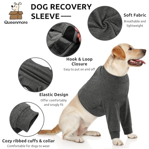 Dog Recovery Suit for Front Legs (Large / Grey)