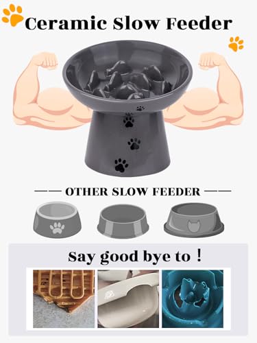 Slow Feeder Cat Bowl (Grey)