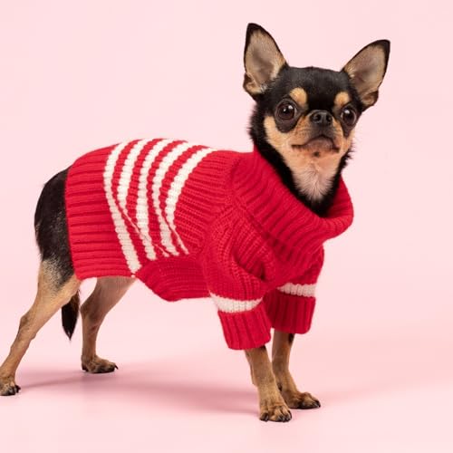Valentines Dog Sweater (Medium / Red)