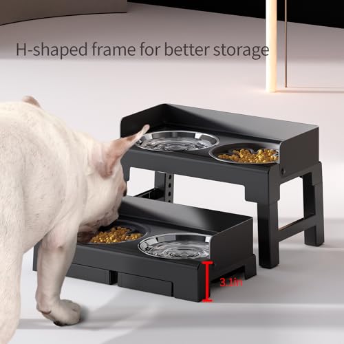 Elevated Dog Bowls for Medium and Large Dogs (1 Slow Feeder Bowl + 1 Stainless Steel Bowl / Black)