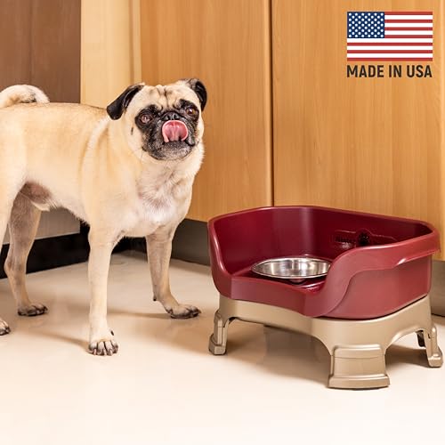 Neater Feeder Deluxe Mess (Small + Standard Bowl / Cranberry)