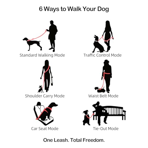 Hands Free Dog Leash with Waist Belt for Running & Walking (Tropical Wave)