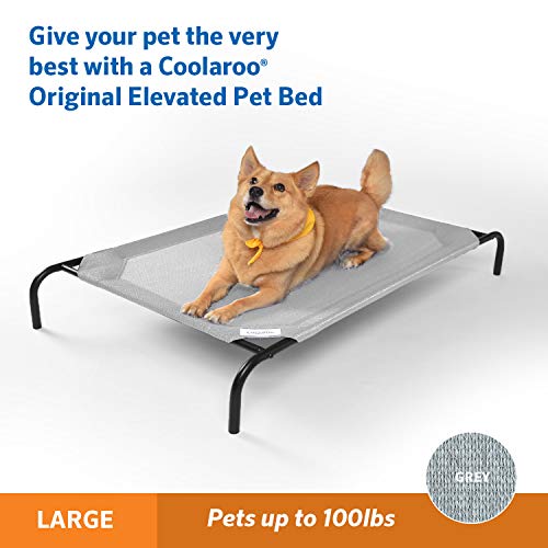 Original Elevated Dog Bed (Large Dog Bed / Grey)