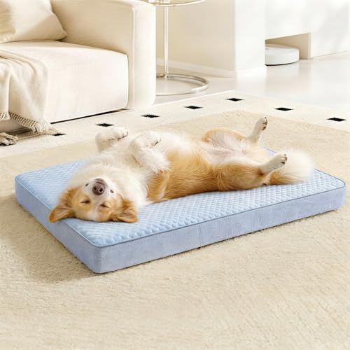 XL Cooling Dog Beds for Large Dogs (Blue / X-Large-41"x 29" x 3.5")