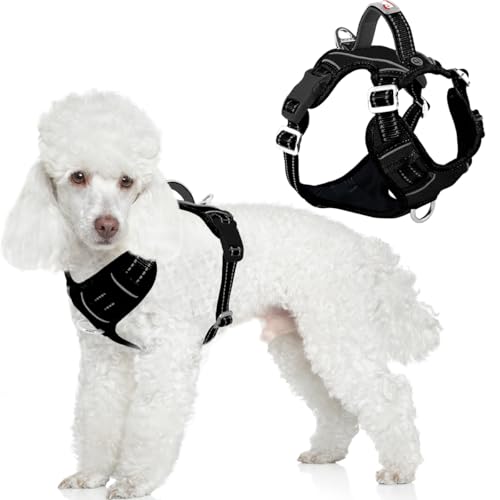 No Pull Dog Harness for Small Sized Dogs (Small(Chest:19.5-26”) / Black-Oxford)