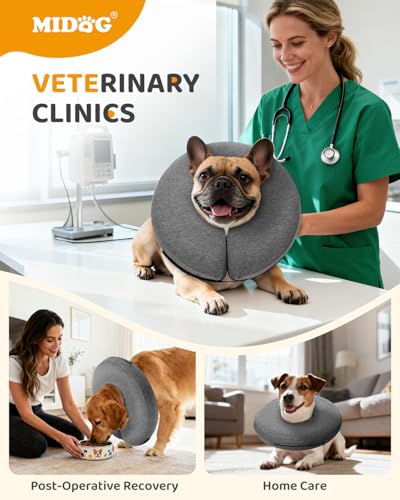 Inflatable Dog Cone (AshGrey / M(12"-15"))