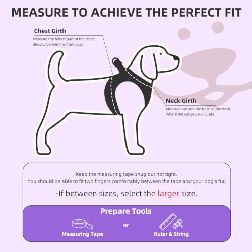 Dog Harness Collar and Leash Set No Pull for Small Medium Sized (Purple / XXS (CHEST 11.5"-13"))