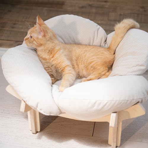 Elevated Cat Bed for Indoor Cats Couch Sofa Flower (White)