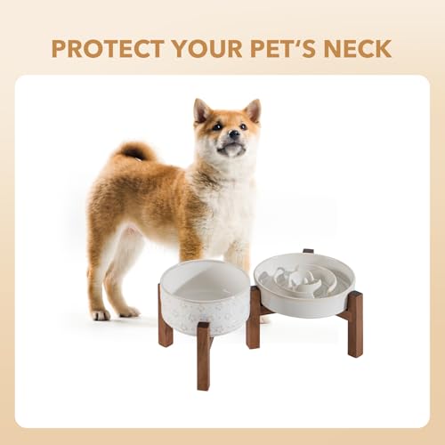 Raised Slow Feeder Dog Bowls (2 x White + Stand - A / M- 7.3inch / 1.2 Cups)