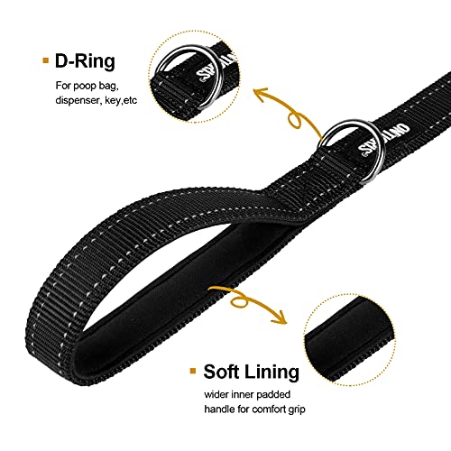 No Pull Dog Leash with Handle for Medium Large Dogs (Black / 6FT)