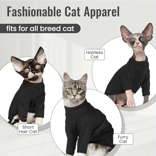 Hairless Cat Shirt (Medium / Black)