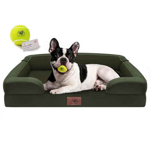 Orthopedic Dog Bed for Medium Large Size Dogs (30 x 20 x 3 in / Oliva Green)