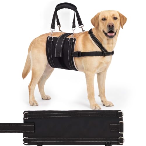 Adjustable All Dog Lift Harness for Large Dogs (Black (Female & Male) / Large)