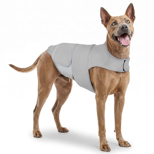 Dog Anxiety Relief Calming Vest (Grey / XXL)