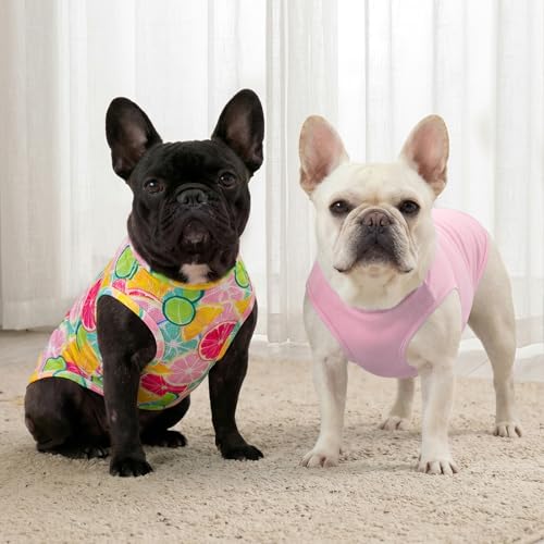 2Pack Dog Shirts for Small Dogs Breathable Mesh Tank Top (Small (4-7lbs) / 4# 2Pack (Lemon+Pink))