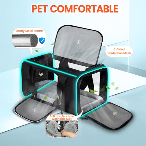Small Pet Carrier 17"x12"x8.5" with Wheels Airline Approved (17.0"L x 12.0"W x 8.5"H / Black and Wheeled)