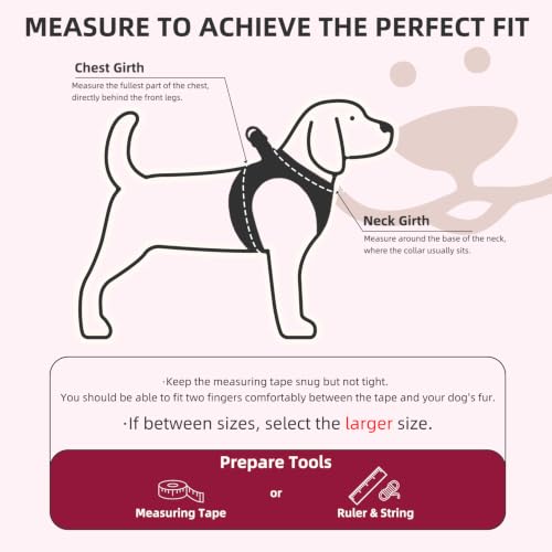 Dog Harness Collar and Leash Set No Pull for Small Medium Sized (Red / M (CHEST 16"-18"))