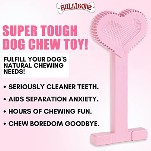 Nylon Dog Chew Toy for Aggressive Chewers (Large - 3 Pack)