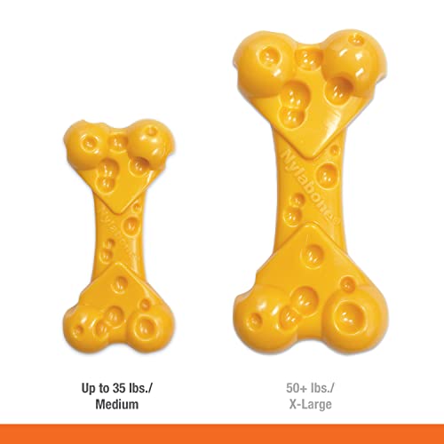 Power Chew Cheese Bone Dog Chew Toy (Cheese 1 Pack / Medium)