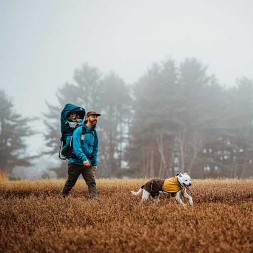 Sun Shower Dog Raincoat (Earth Brown / X-Small)