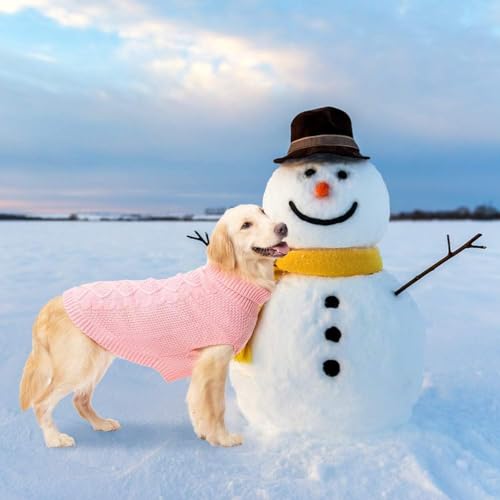 Turtleneck Dog Sweater (Small/Medium / Flesh Pink)
