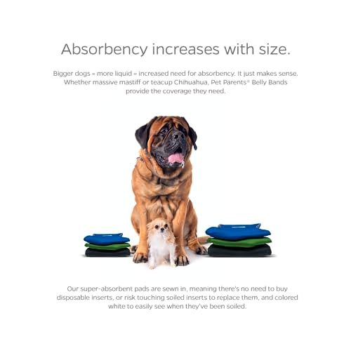 Washable Belly Bands for Male Dogs (X-Large (25-34") / Gentlemen)