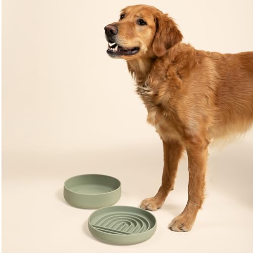 Slow Feeder Dog Bowl (Sage - Rainbow Design / Large (9.5” Across and 1.5” Tall))