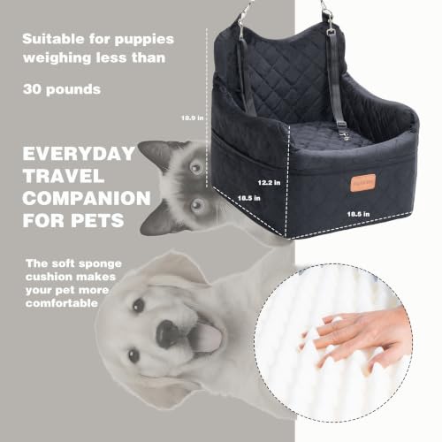 Dog Car Seat for Small Dogs Up to 30 lbs with Safety Tether (Black / M)