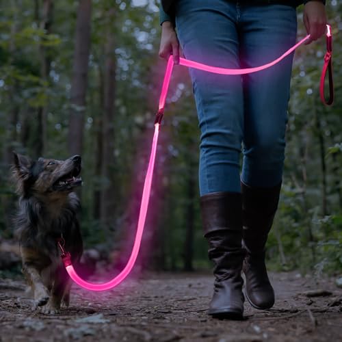 LED Light Up Dog Leash (Pink / 6FT)