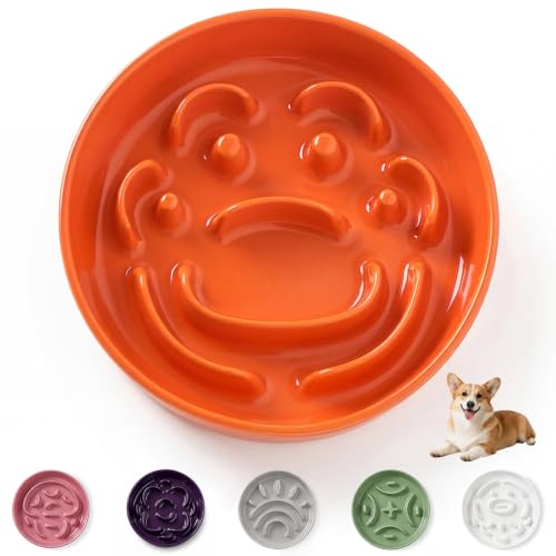 Ceramic Slow Feeder Dog Bowl (Orange / Medium without Stand)