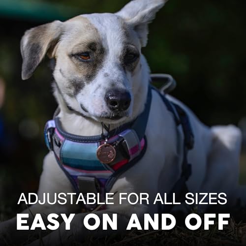Embark No Pull Dog Harness (XS / Baja)