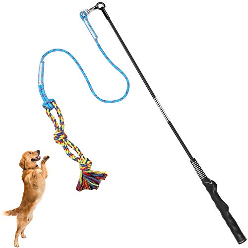 Flirt Pole for Dogs Interactive Chase Toy for Large Medium Small Puppy Dogs (blue-dog pole toy)