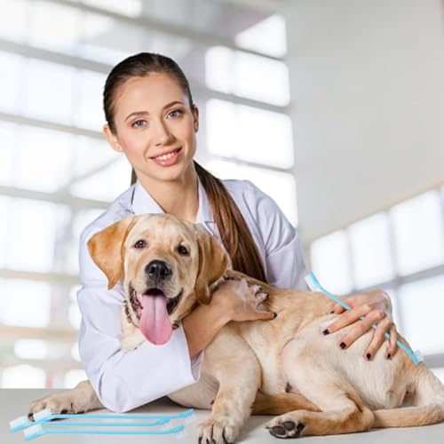 200 PCS Pet Toothbrush Bulk Toothbrush Puppy Tooth Brushing Kit