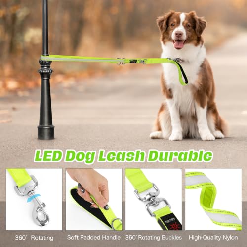 Light Up Dog Leash (Green / 6FT)
