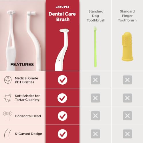Dental Care Brush with Soft Bristles 1ea (Soft Bristles / 1 Count (Pack of 1))