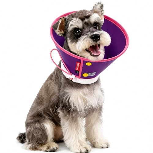 Soft Dog Cone Collar for Dogs & Cats (Purple / M)
