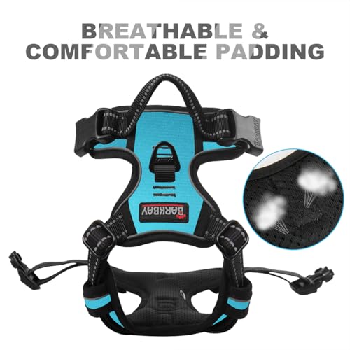 Dog Harness No Pull for Small Sized Dog Front Back Clips (X-Small(Chest:15.5-19.5”) / Blue)