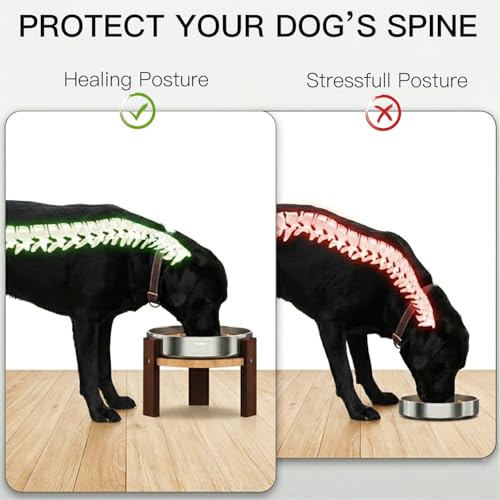 Elevated Dog Bowl Stand (6" Height 2Cups Slow Feeder)