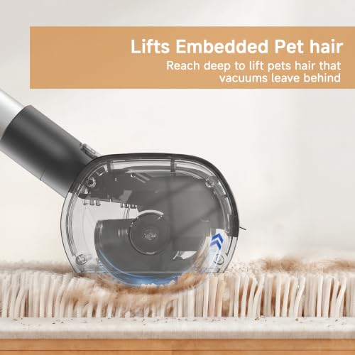 Pet Hair Remover for Carpet (Purple)