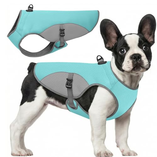 Cooling Vest for Extra (Blue / X-Large)