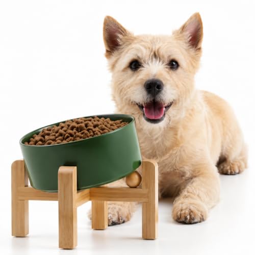 Raised Elevated 15°Slanted Ceramic Dog Bowl for Small Breeds (Rust Green / 1.7 CUPS - Puppy/Small Dogs & Cat Bowls)