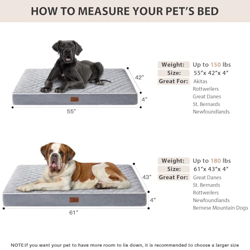 Orthopedic Giant Human Dog Beds for Adult & Dog Cozy Sleep (Light Grey / 61"L x 43"W x 4"Th)