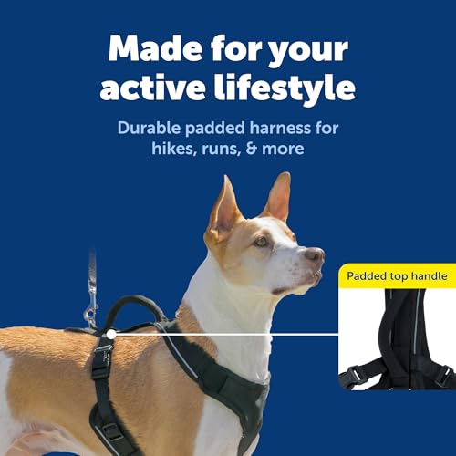 EasySport Dog Harness (Medium / Black)
