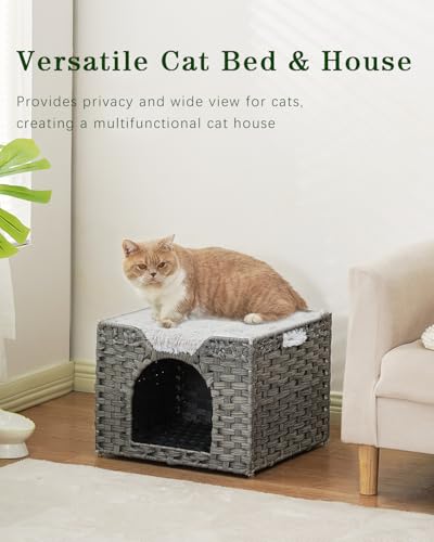 Cat Beds Indoor Kitten House (Gray / Rectangle-M)